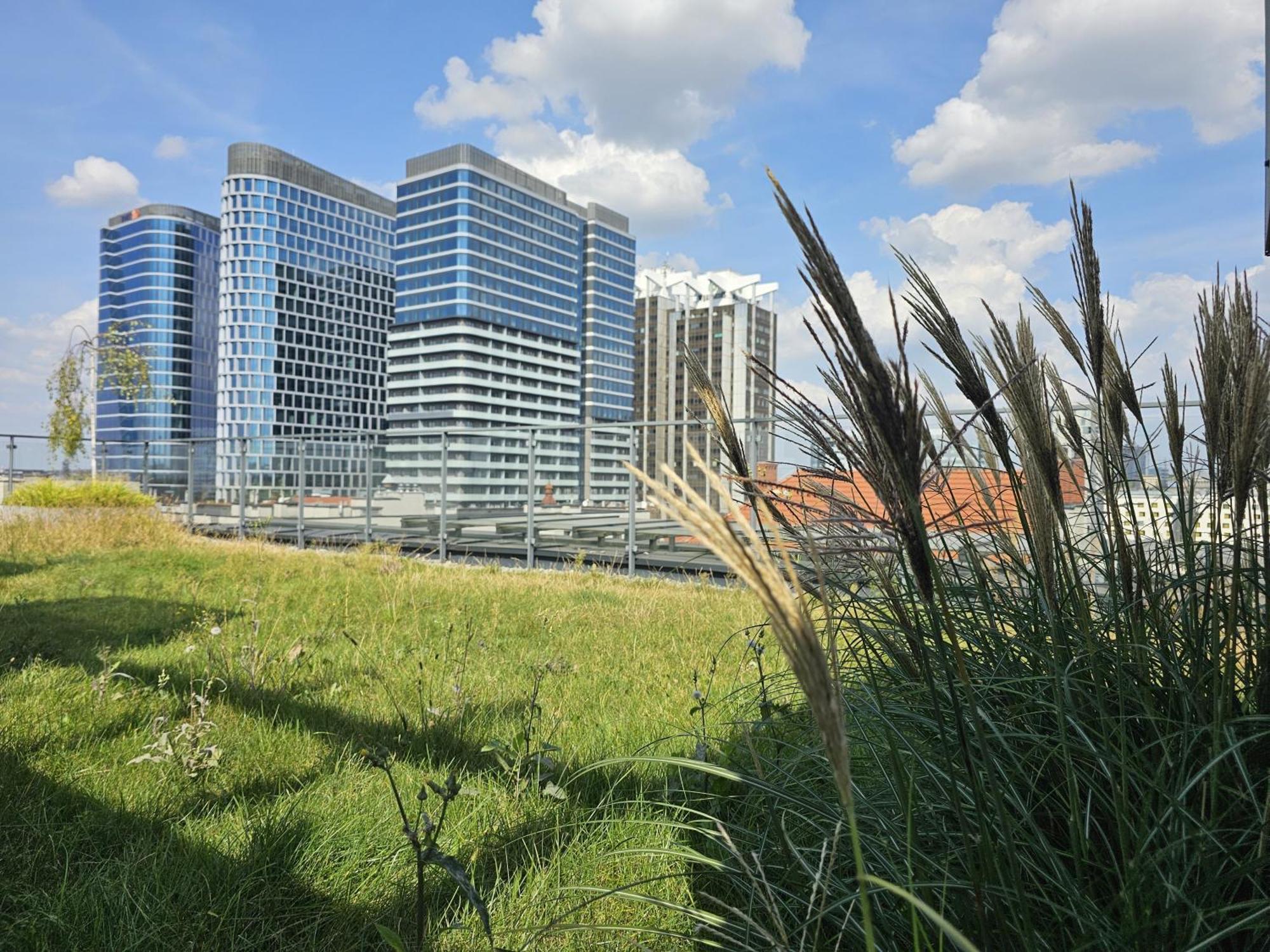 Urban Apartments Premium, Opolska 10 No 90, 2 Free Garages, Self Check-In Katowice Exterior foto